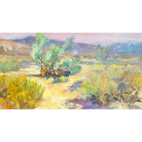 Stevens, Allayn 아티스트의 Desert Garden작품입니다.
